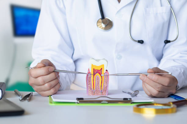 Best Emergency Treatment for Toothache in Broomfield, CO